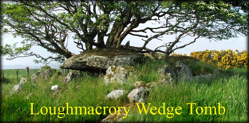 Loughmacrory Wedge Tomb